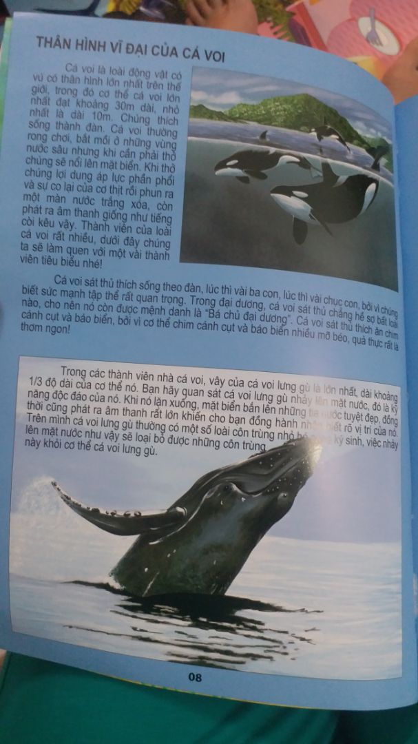 Giao hàng nhanh chóng, nội dung sách khá hay, bé nhà mình 5 tuổi rất thích mẹ đọc cho nghe