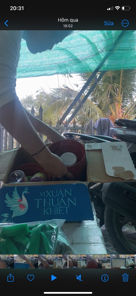 Chậu nhựa tái chế, loại giòn