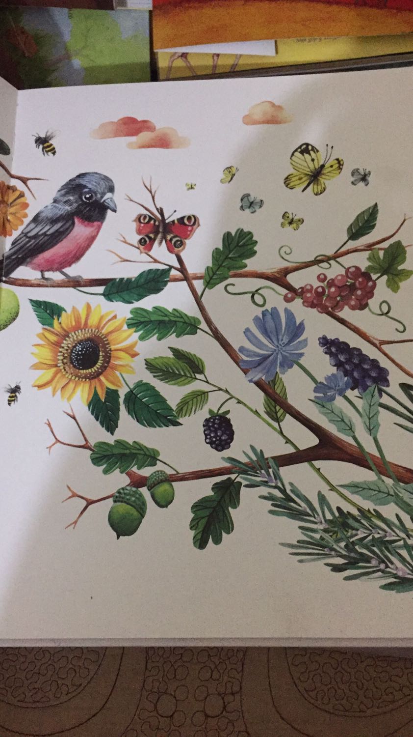 Nhìn mấy hình ảnh mình đính kèm, các bạn có thấy đẹp không? ? cá nhân mình thì rất thích những cuốn sách đẹp như thế này của Huy Hoàng. Cảm ơn nxb v Tiki đã mang tới những cuốn sách đầy nghệ thuật❤️