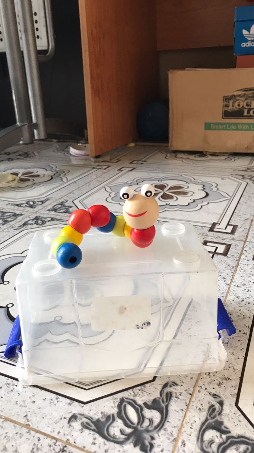 Sâu đẹp, cả sâu lẫn ship 41k
Tiki giao hàng chuẩn 5 sao.