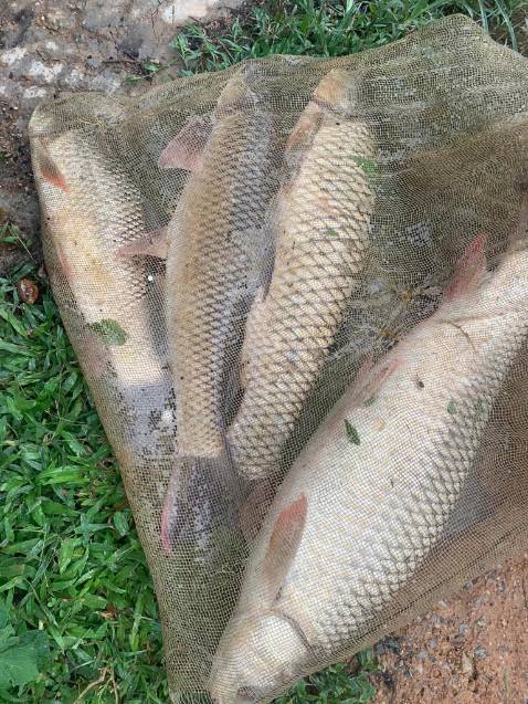 Đã mua 1 lần rùi.lần này lấy 2 cái.sản phẩm tốt trong tầm giá