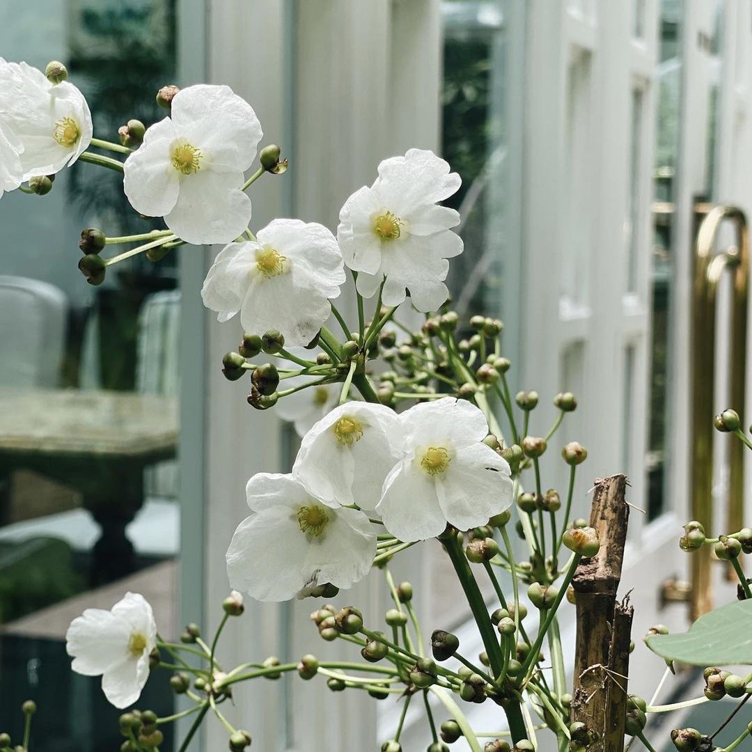 cũng được, không hiệu quả lắm, khó bóc