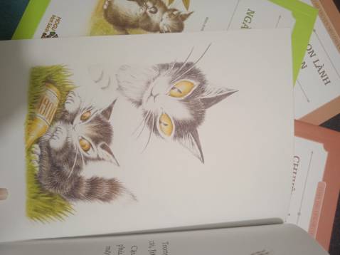 Sách đẹp, đc bọc kĩ càng, giao khá nhanh