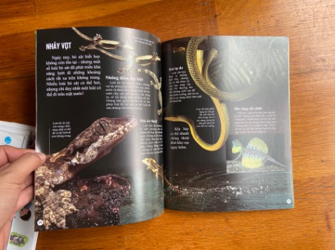 Sách in đẹp, nội dung quá ổn, thích hợp với bạn nào dạy theo pp Montessori & để con đọc khám phá thêm về thế giới