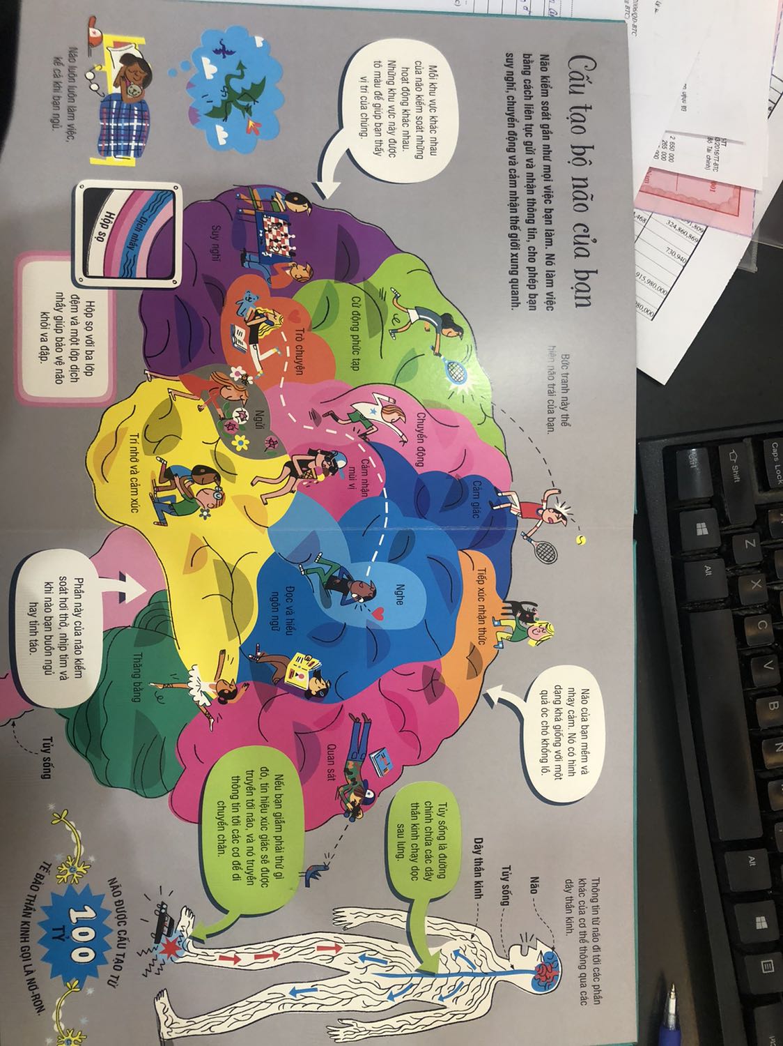 Sách đẹp. Bạn Gấu chắc mê tít