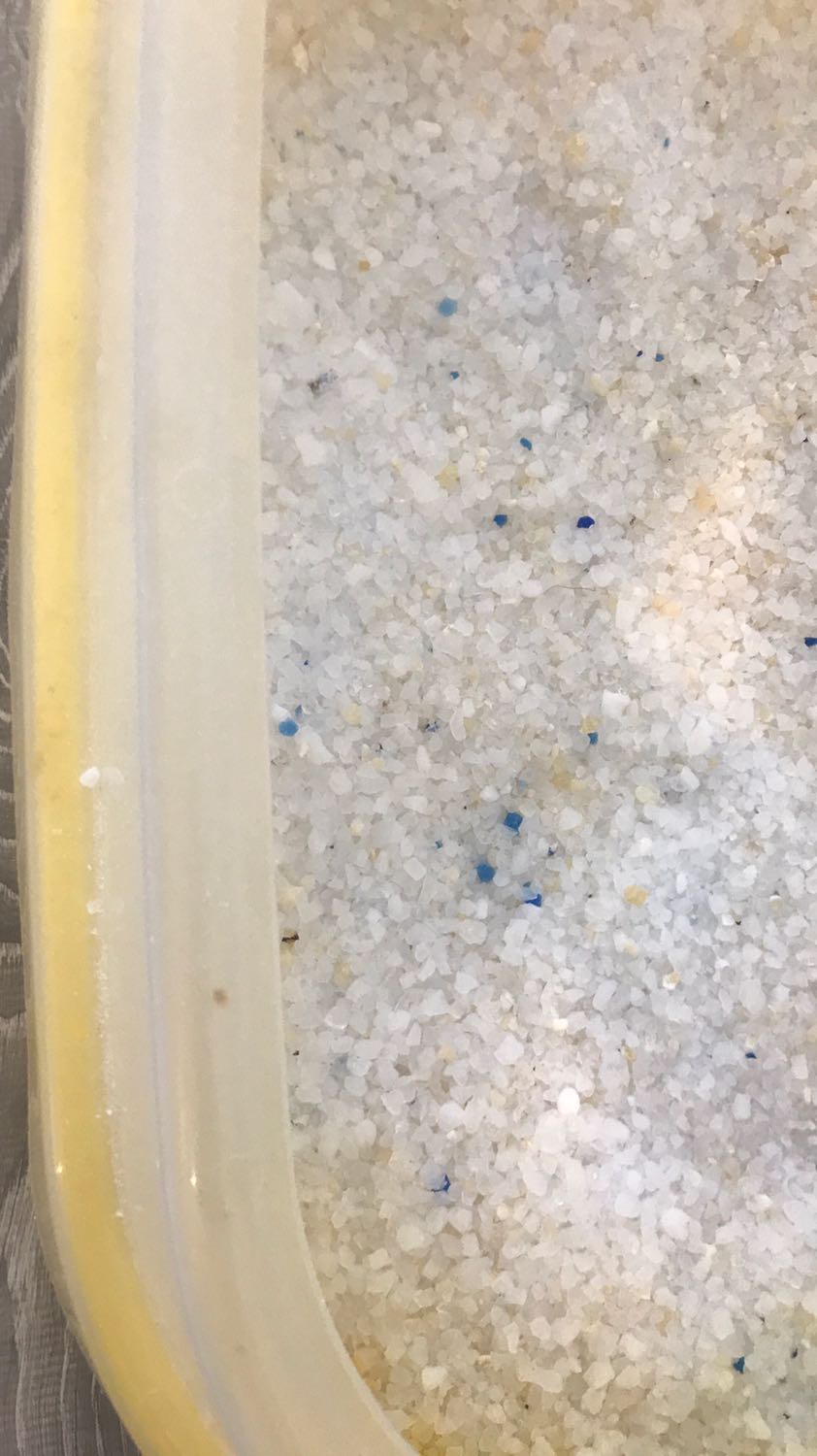 tuy giá hơi cao nhưng trông sạch và mèo đi khá hợp