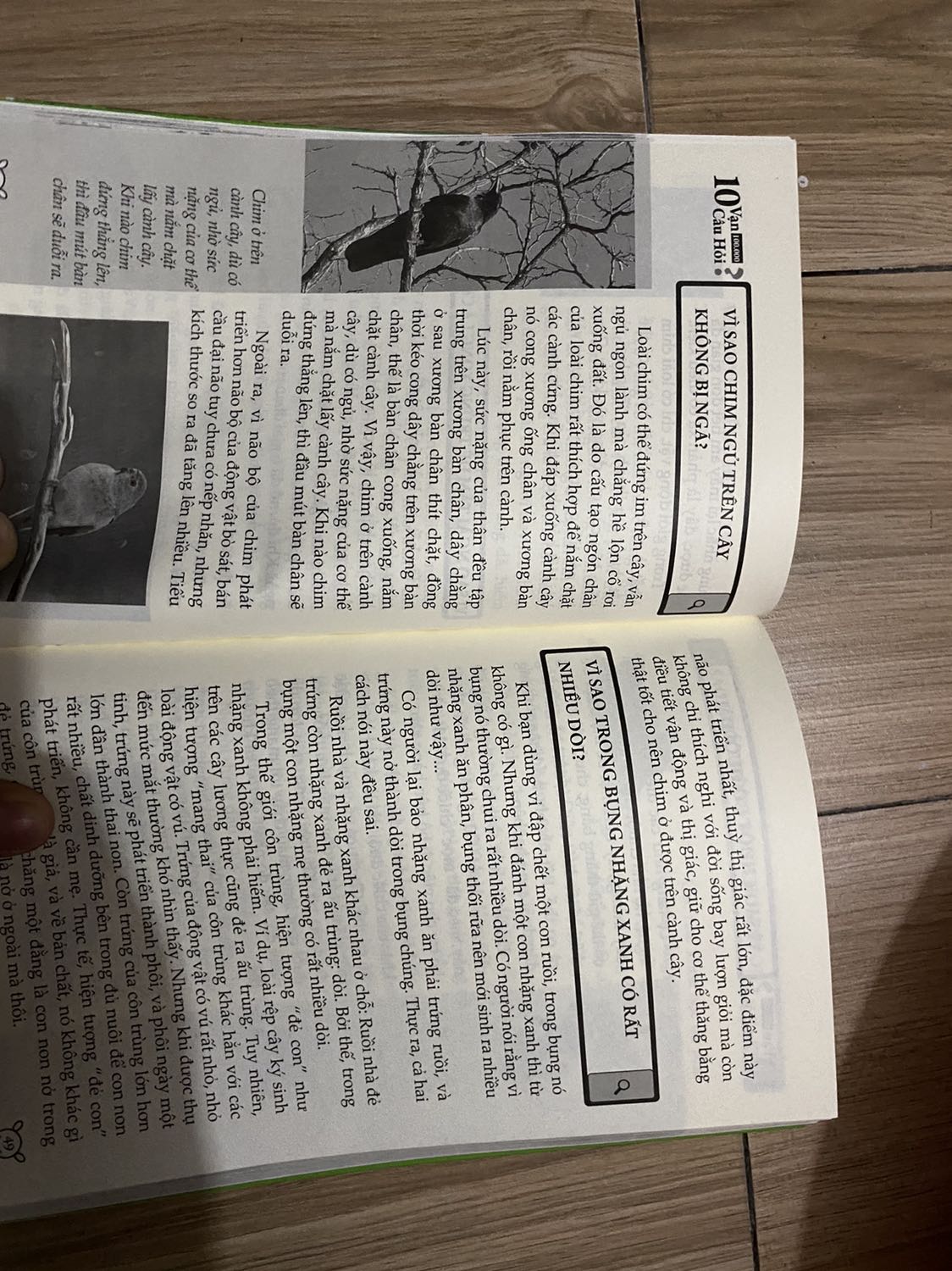 Đề nghị tiki nên có chính sách kiểm duyệt nội dung sản phẩm, shop nên có mô tả chi tiết sản phẩm để người tránh nhần lẫn. Ngoài thì đúng tiêu chí nhưng trong là gì? 
Sách liên quan về giáo dục, phát triển mà đứa trẻ bảo con chim nướng, khỏng long bị nướng 🤣🤣🤣