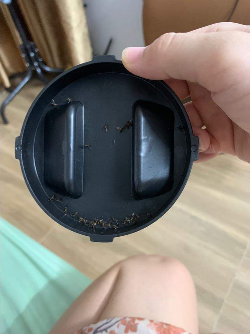 Đèn bắt muỗi tốt lắm nha shop, mua tổng cộng 5 cái rồi, hết bị muỗi chích luôn, mấy bửa nấu cơm cứ bị chích vào chân