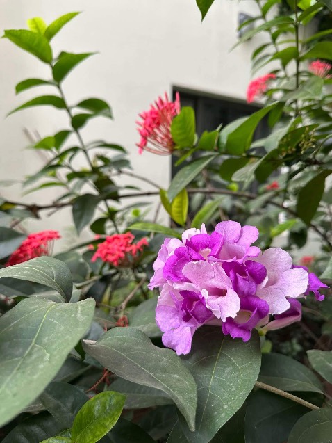 Dùng tốt, chất lượng tốt, tiện dụng để đựng thực phẩm được kín, sạch sẽ