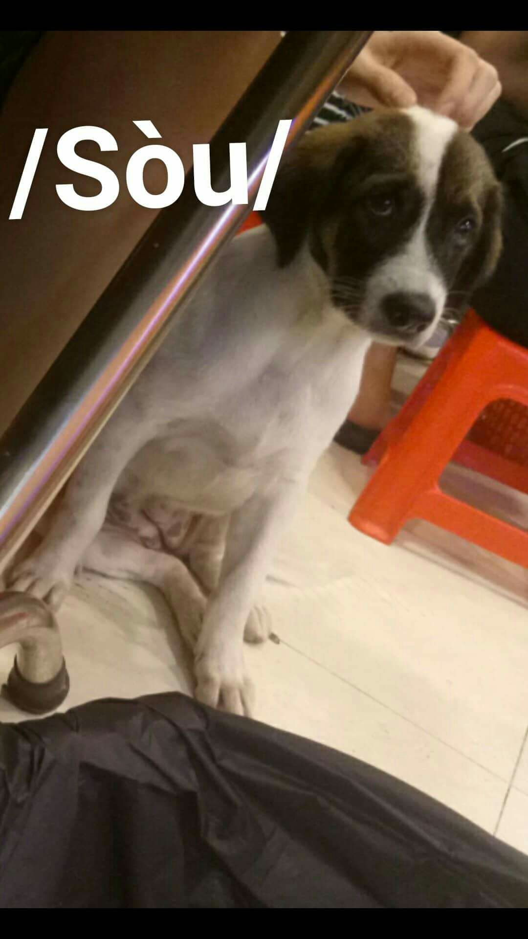 đóng gói giao hàng nhanh, sale nên giá ổn. Đặt sách mới nhưng lại bị gãy bìa :'))) làm mình buồn nhiều chút đấy. Thùng hàng giao nhìn cũng k ổn tí nào, may mà sách bên trong k bị ảnh hưởng quá nhiều.