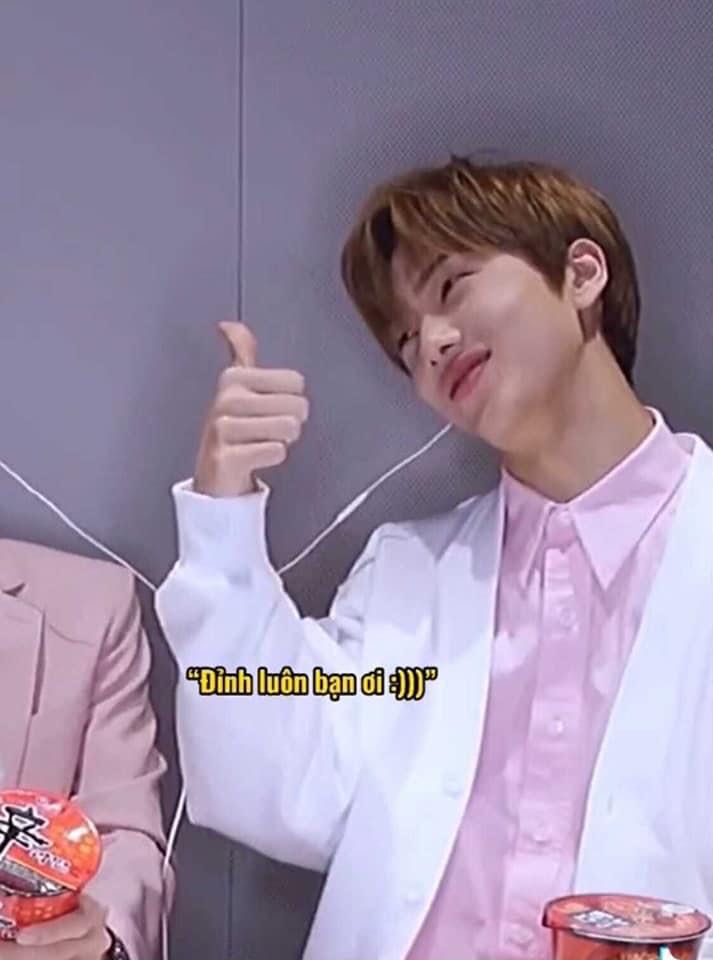 Bộ bài được gói cực kỳ kĩ, lúc hàng về t còn thắc mắc là đồ gì mà hộp to thế 😅 bài mỏng, không bị dính nhưng mà khó trải, bộ bài cũng được bọc kỹ lắm luôn, tóm lại khâu đóng gói 10 đỉm, lần tái bản này không có lỗi sai chính tả như lần trước, một bộ bài real với giá này thì thực sự là rất chất lượng