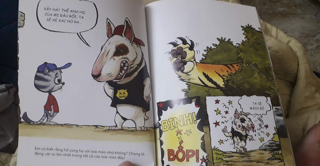 Series truyện này rất thú vị và bổ ích~~ Quyển này cung cấp các thông tin mới lạ và không kém phần dễ thương về loài hổ~ Mua cho cháu mà mình đọc còn thấy mê :v