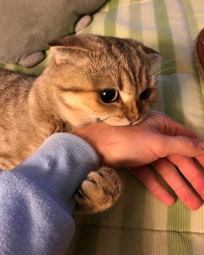 Hình ảnh mang tính chất minh hoạ