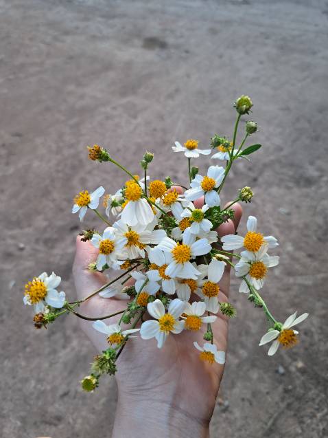 Thấy review hay nên mua dùng thử, chưa biết như thế nào nữa Thấy review hay nên mua dùng thử, chưa biết như thế nào nữa