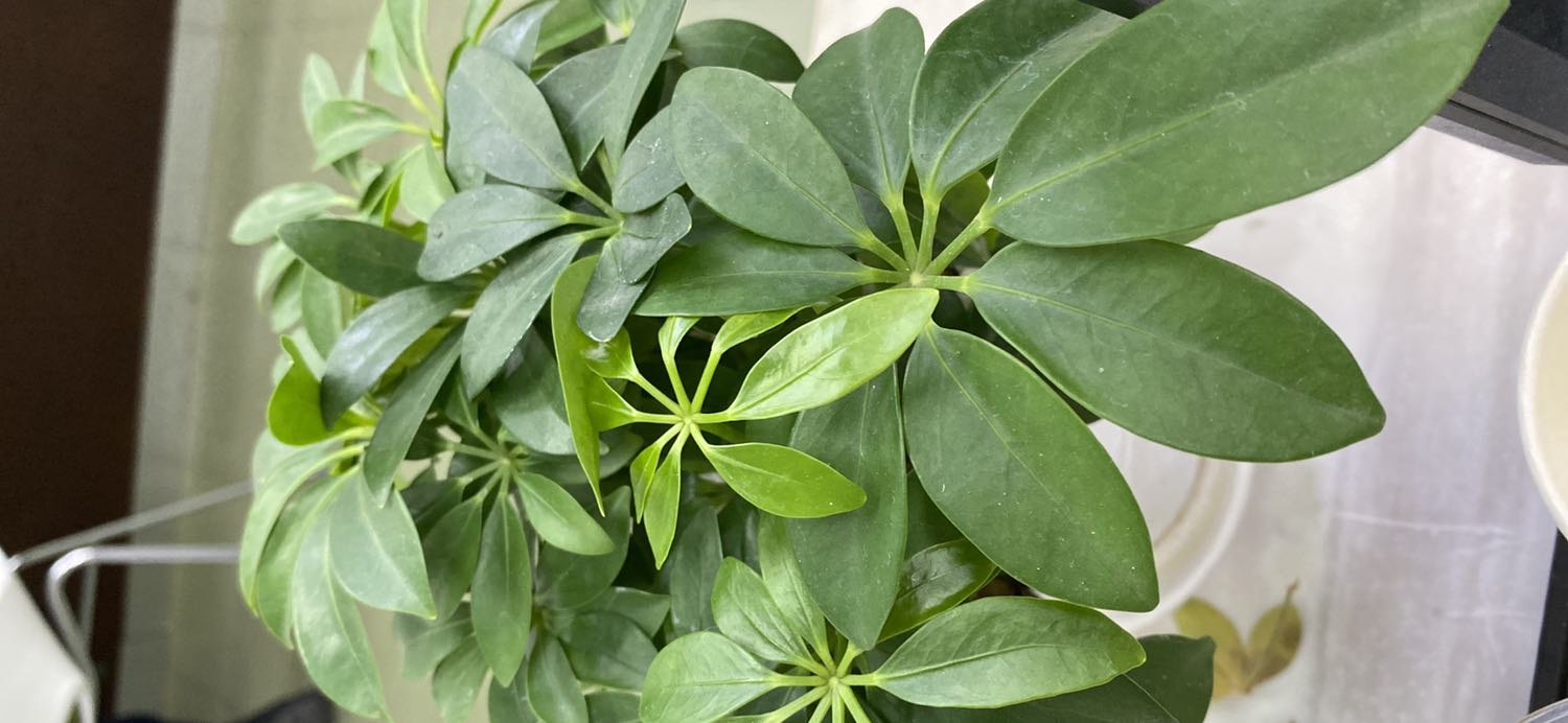 Mua cho con mình nghiên cứu, thấy chăm chú đọc, chưa biết thế nào, mình sẽ đánh giá sau khi trải nghiệm