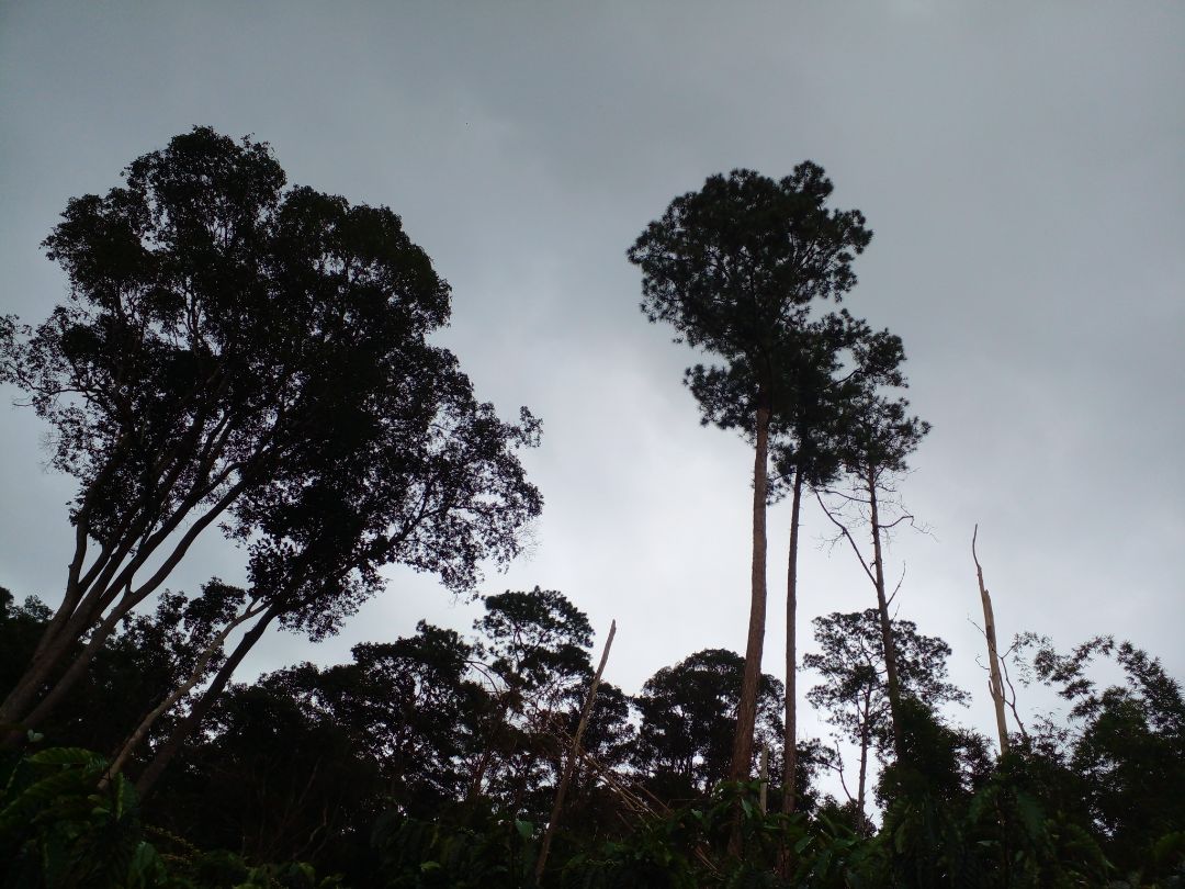 sản fẩm chất lương cao