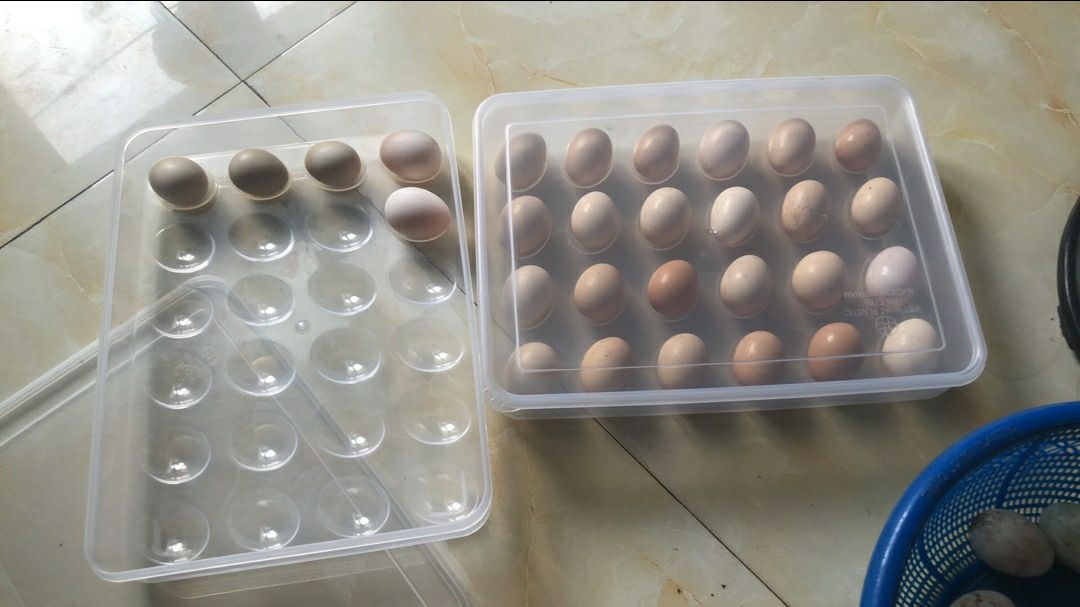 Rất tuyệt vời, dễ sử dụng, dễ rửa vệ sinh, 10 điểm!! Nhà làm bánh cần mua 1 lúc nhiều trứng nên dùng sản phẩm rất tiện Rất tuyệt vời, dễ sử dụng, dễ rửa vệ sinh, 10 điểm!! Nhà làm bánh cần mua 1 lúc nhiều trứng nên dùng sản phẩm rất tiện