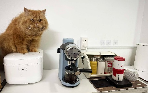 Đã mua hơn 1 tháng, xài rất ok và quá hời cho những ng nghiện cf như mình nha. 😍😍