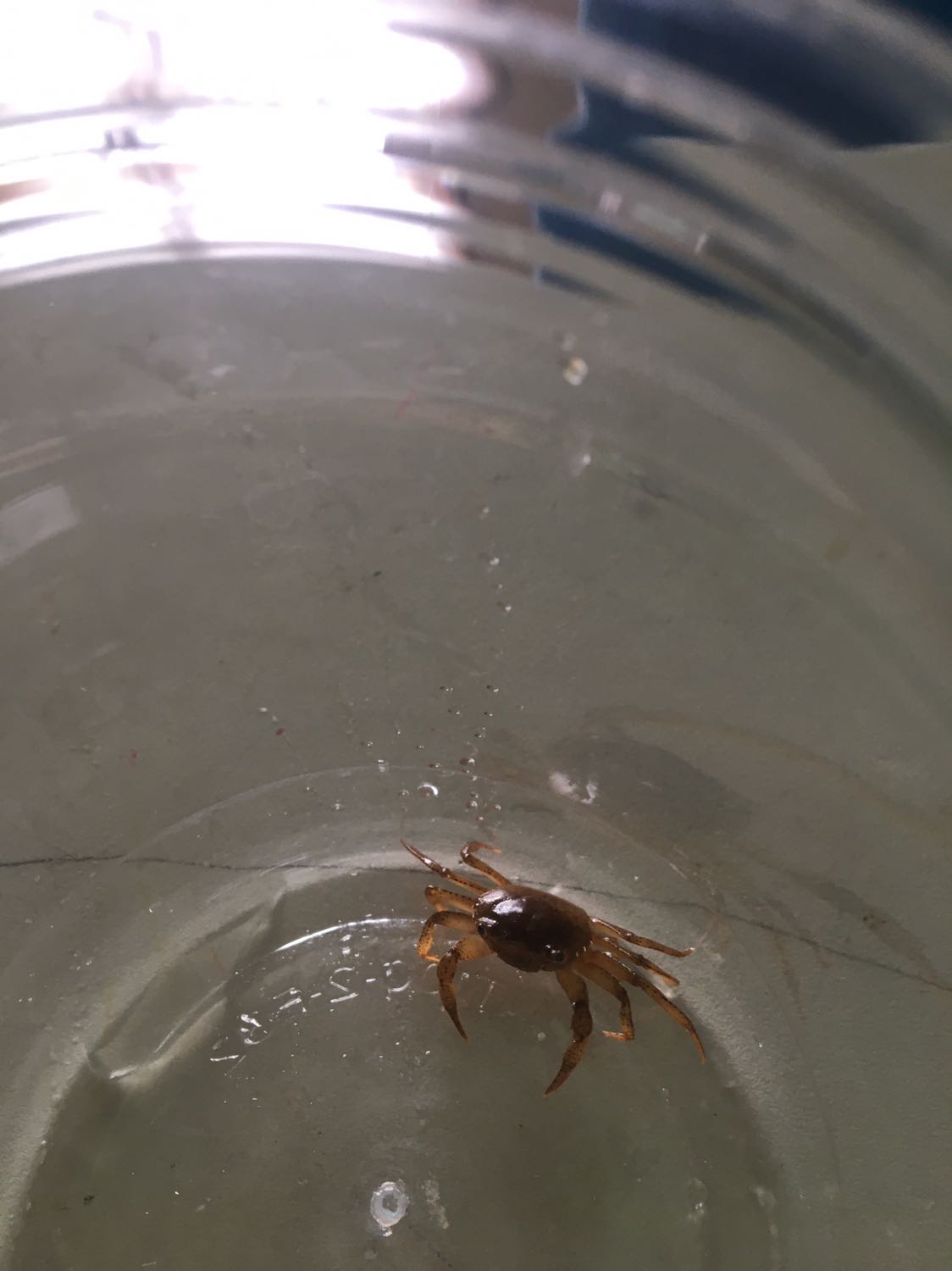 Sách đẹp, đóng gói kĩ, giao hơi chậm chút


Sách đẹp, đóng gói kĩ, giao hơi chậm chút

Sách đẹp, đóng gói kĩ, giao hơi chậm chút