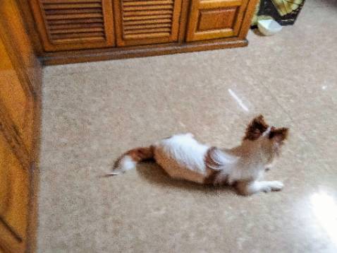 Dễ sử dụng. Giao hơi lâu nhưng ko sao. Thank shop