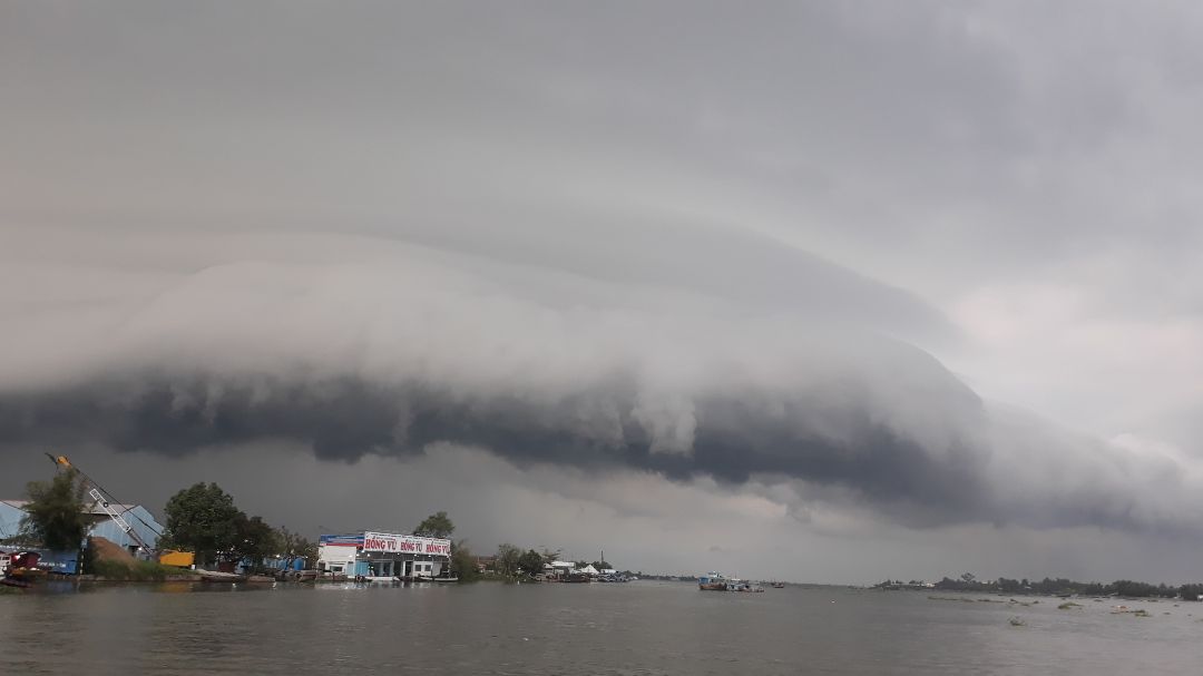 đang đợi nảy mầm