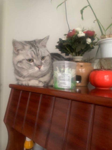 Đóng gói ẩu gãy hết gáy sách