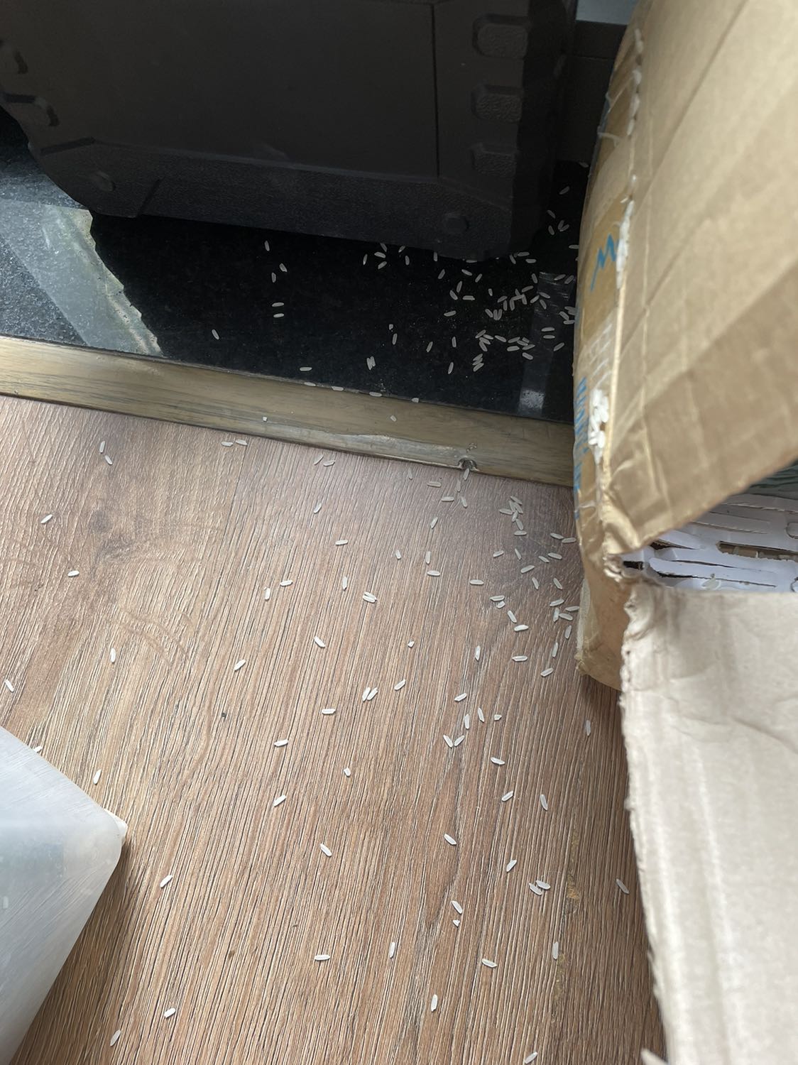 Mình đặt 4 gói gạo, giao đến có 2 gói bị rách bao (như hình), gạo đổ đầy trong thùng, vừa để xuống là văng ra ngoài tung toé! Người bán cố tình giao túi gạo rách cho khách hàng hay khâu kiểm hàng quá ẩu?Không biết gạo bên trong có còn dùng được nữa hay không?