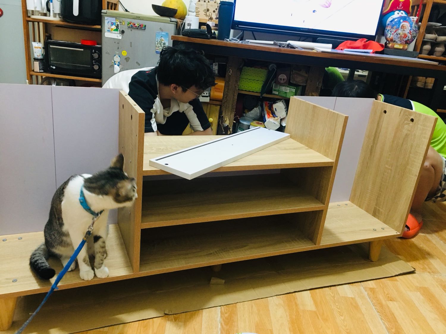 Hàng được giao sớm hơn 1 ngày so với dự kiến. Các tấm gỗ chắc chắn, dày dặn. Một vài chỗ mối khoan không khớp 100% nhưng cố gắng gọt bớt một tẹo hoặc gõ nện một tẹo là cũng vào ok. Sản phẩm hoàn thiện nhìn rất đẹp và xinh xắn.