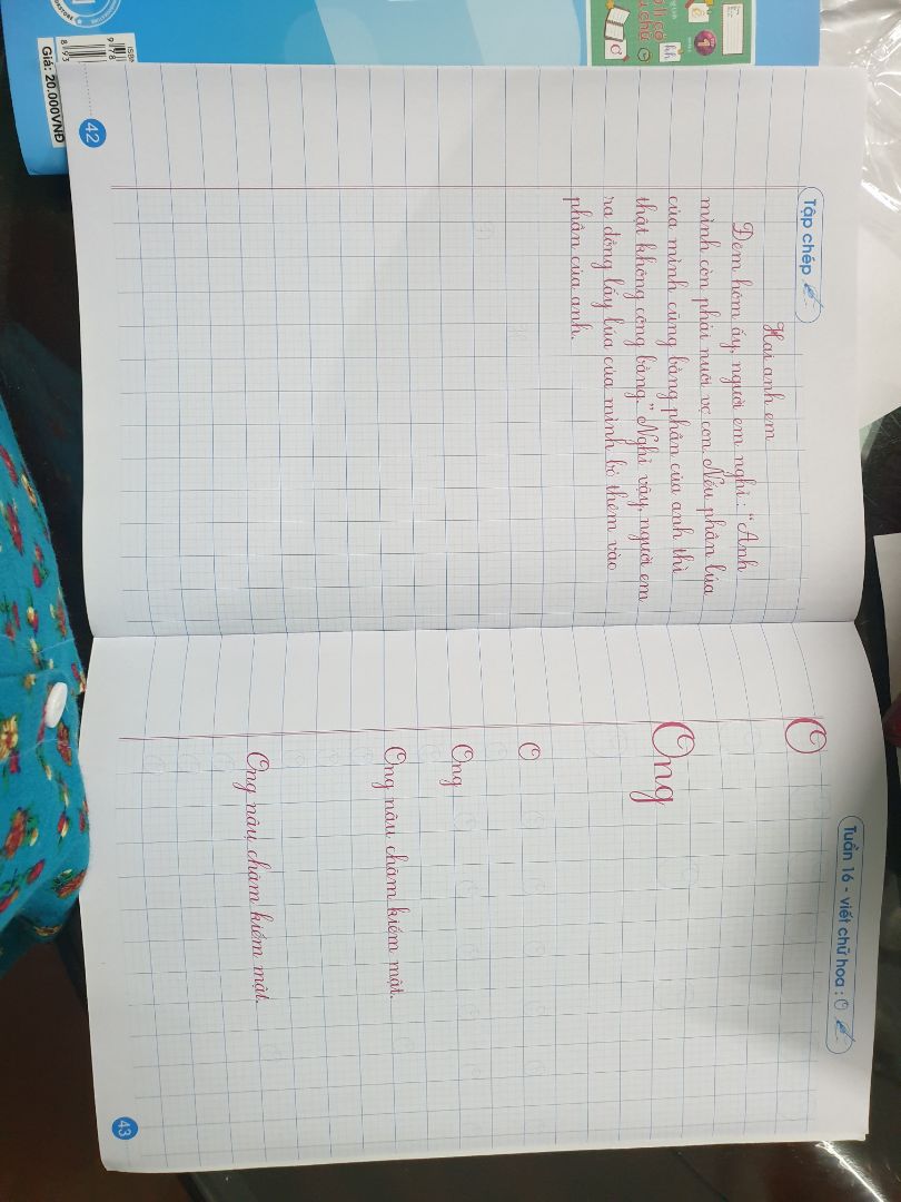 Chất liệu giấy ổn, chữ mẫu in màu đỏ rõ ràng. Lưu ys:  Đây là vở luyện viết chữ cho bé lớp lớn như lớp 3,4,5 vì  4 ô li, ko phải 5 ô li nhé