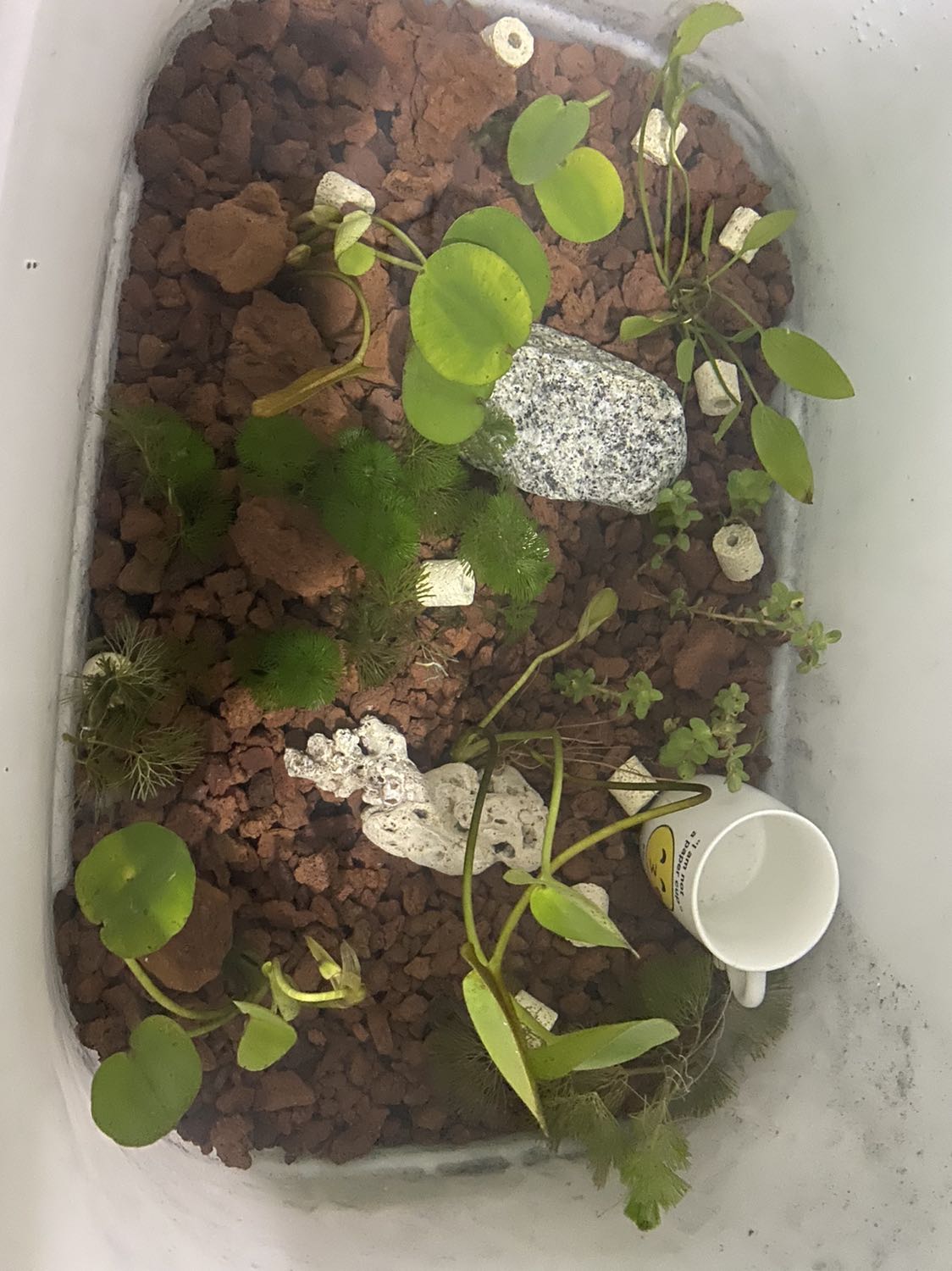 Sp chất lượng,đóng gói bắt mắt,thấy an tâm k sd