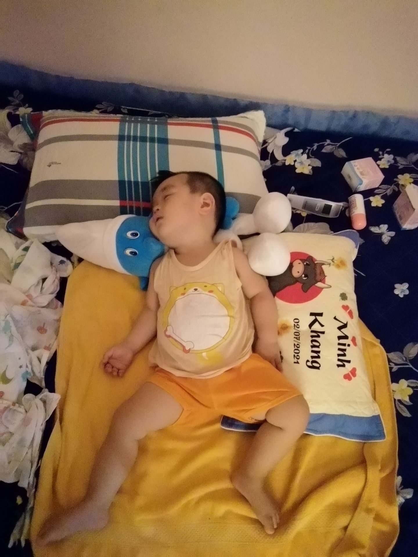 giao hàng nhanh, sản phẩm tốt, mùi vị như cá hồi, con mình rất hợp tác