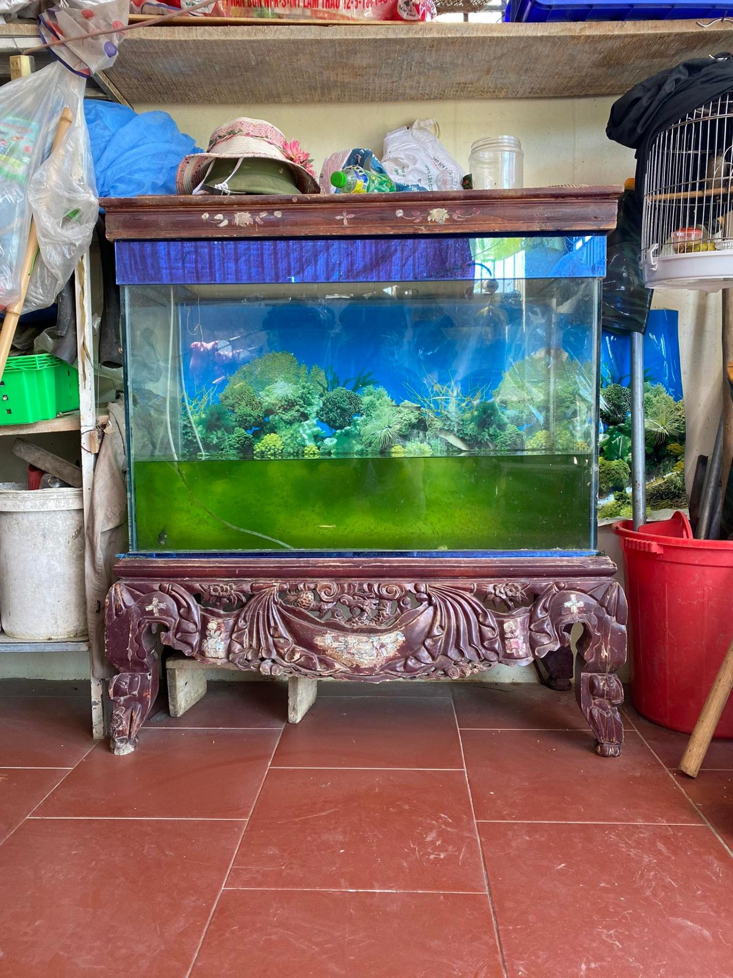 tốt, nhưng dùng bình tạo bọt ko nên bọt