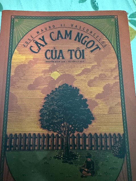Mua sách cũng lâu rui nhưng giờ mới có tgian đọc, mình đọc 1 mạch cho đến hết truyện. Mở đầu truyện đã mang tới cảm giác khá buồn rồi, đọc để thấu hiểu được cái nghèo nó có thể khiến một cậu bé còn chưa được 6t trưởng thành và mạnh mẽ tới mức ấy, và đôi khi lại rất nhạy cảm, một cậu bé thông mình và tinh nghịch nhưng lại ko có một ai có thể hiểu được cậu cho tới khi một người bạn đặc biệt xuất hiện khiến Zezé cảm nhận được sự ấm áp và trân trọng mà trước đây cậu chưa từng được đối xử như thế. Khúc cuối thật sự rất cảm động, sẽ không có một ai thay thế được hình bóng người bạn đặc biệt ấy trong lòng cậu bé cho tới cuối đời.