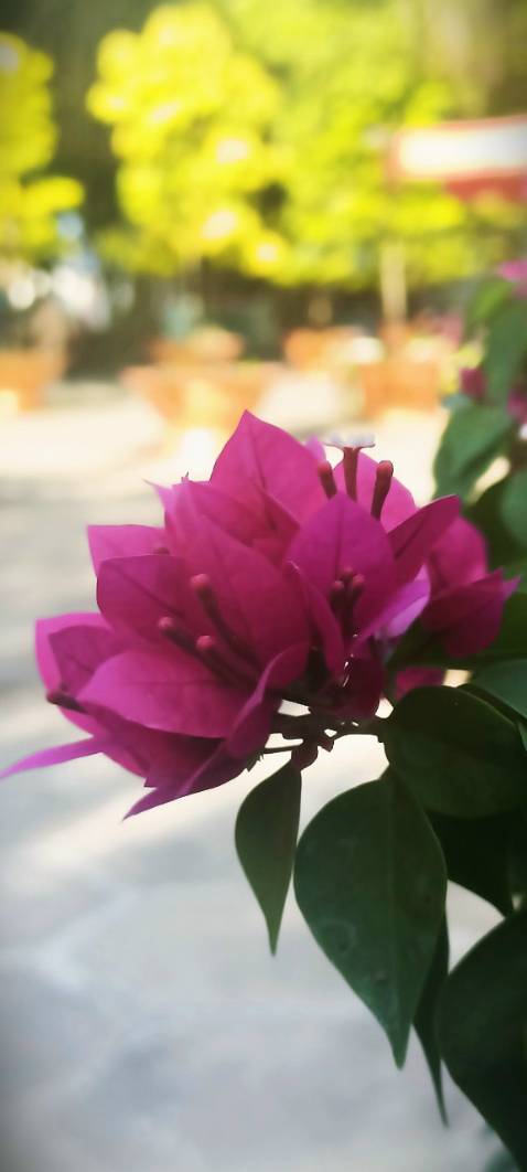 Sản phẩm rất tốt ạ 5 sao nhé