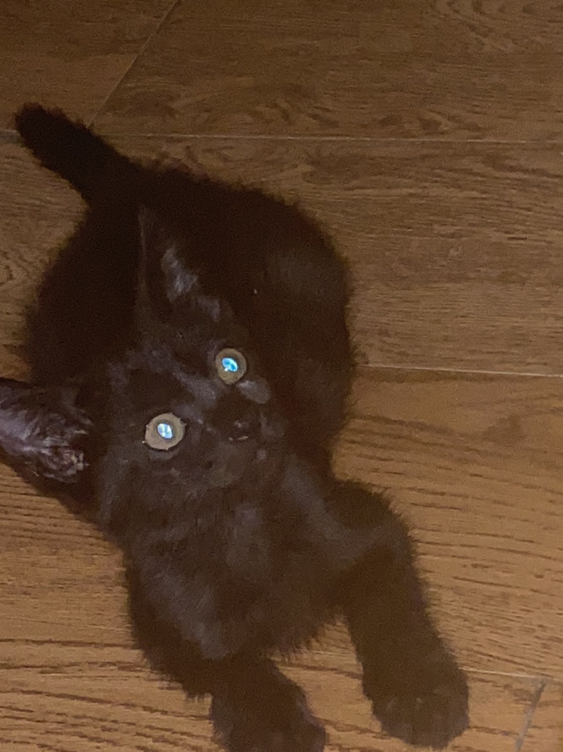 Mình chưa dùng nên cũng chưa biết sp ra sao. Nhưng đóng gói tạm ổn