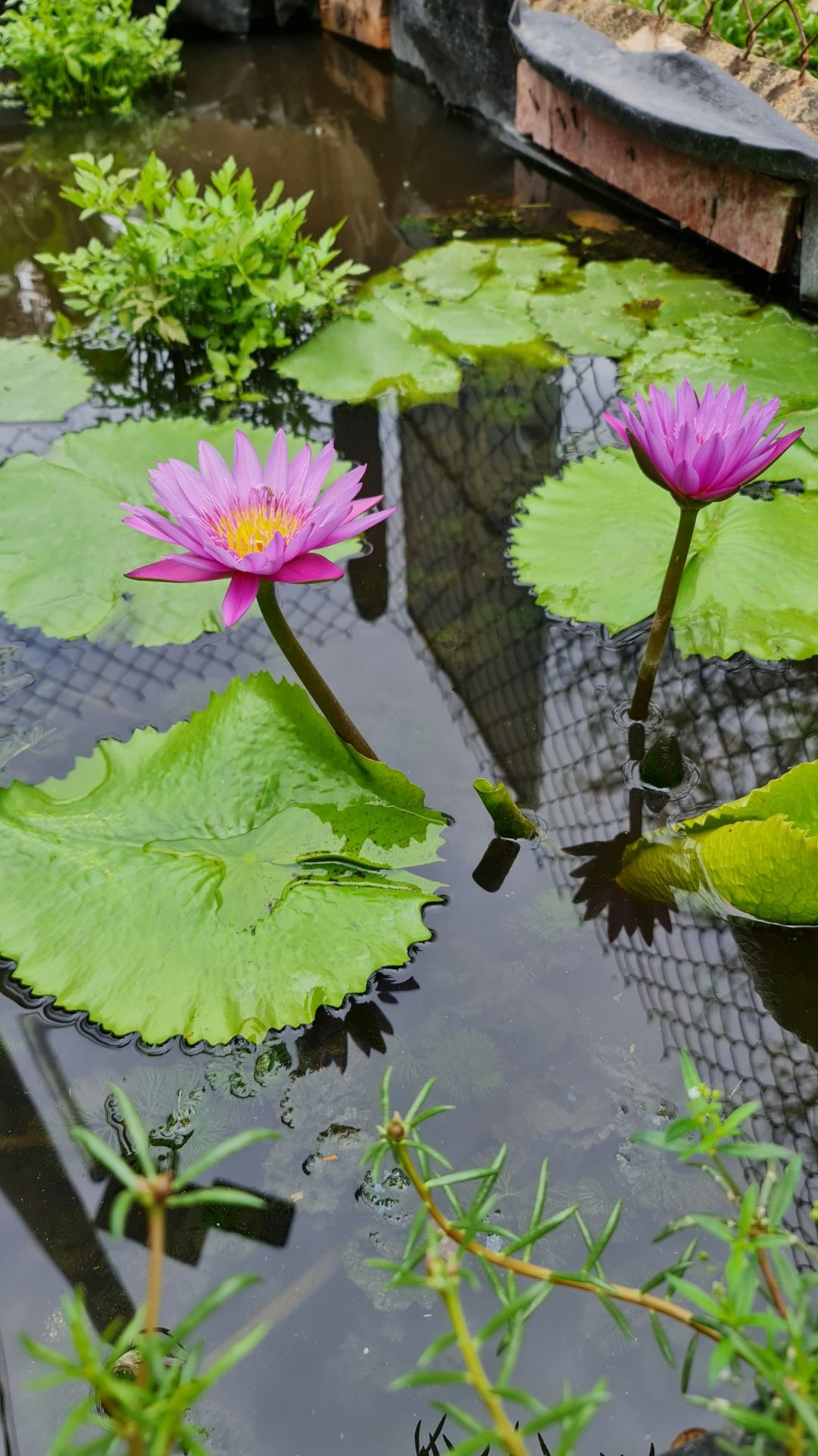 đóng gói kỹ lưỡng, giao hàng nhanh chóng