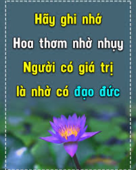 Hàng xài ok. Có điều sạc ko nhanh lắm. Nhưng cũng tạm ok. Nhìn chắc chắn và giống hình quảng cáo. Đóng gói cẩn thận