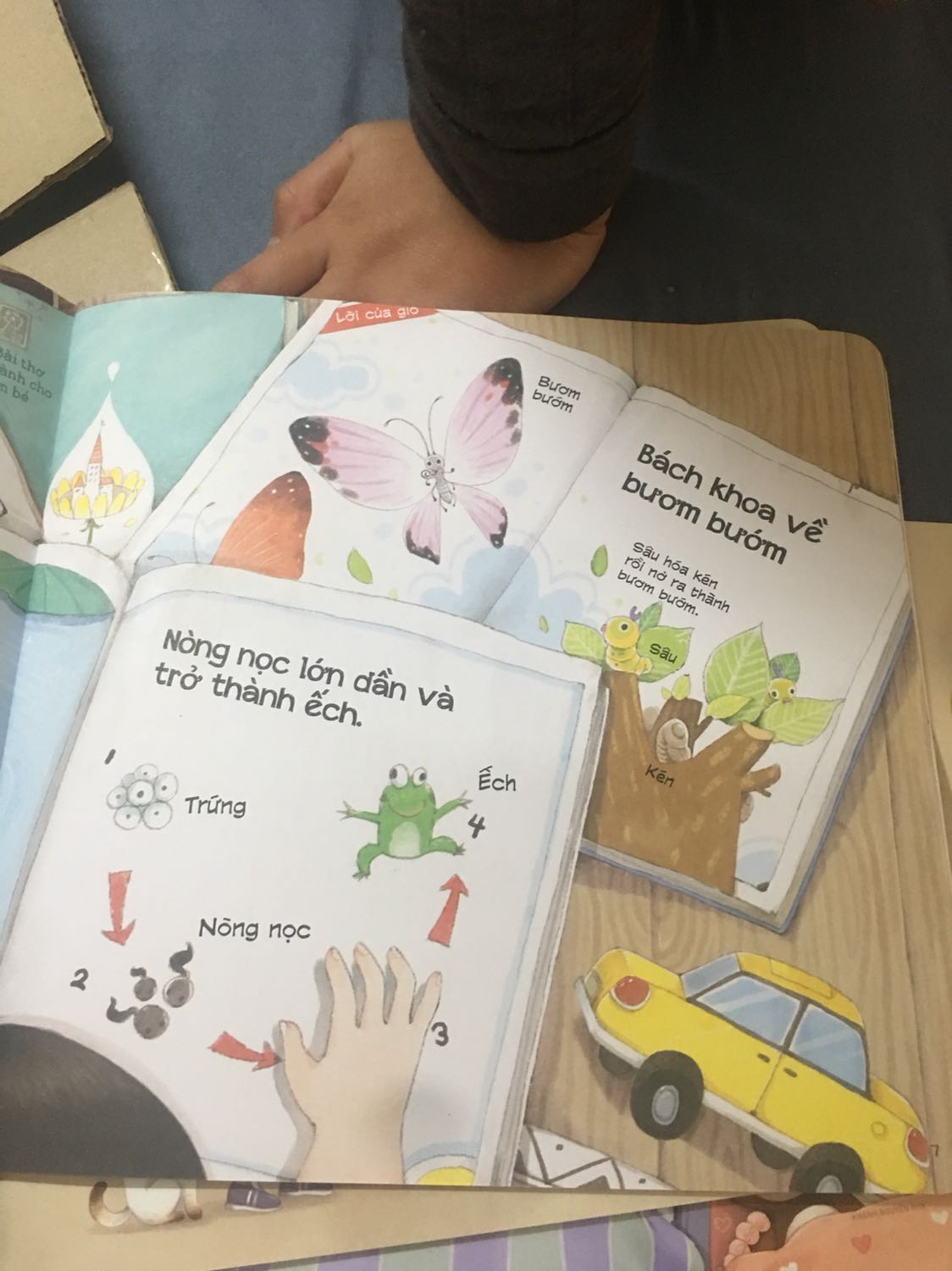 Đóng gõi kĩ càng. Sách trình bày đẹp