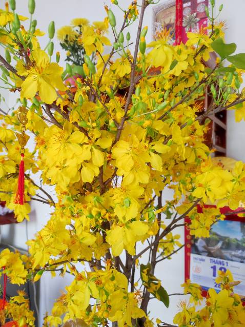 Vải thoáng, co dãn tốt, giá ổn