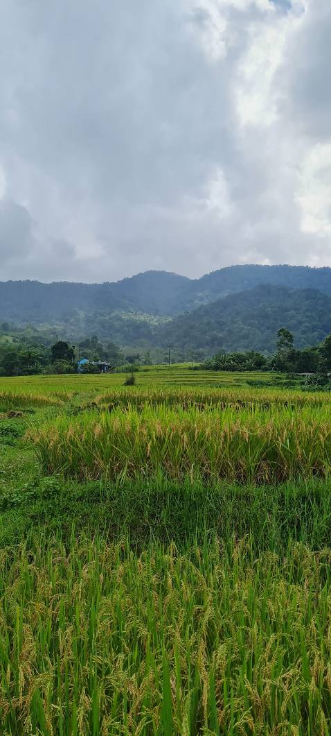 Vở tốt mỗi tội con không thích học chỉ thích đi chơi ngắm cảnh thế mới mệt