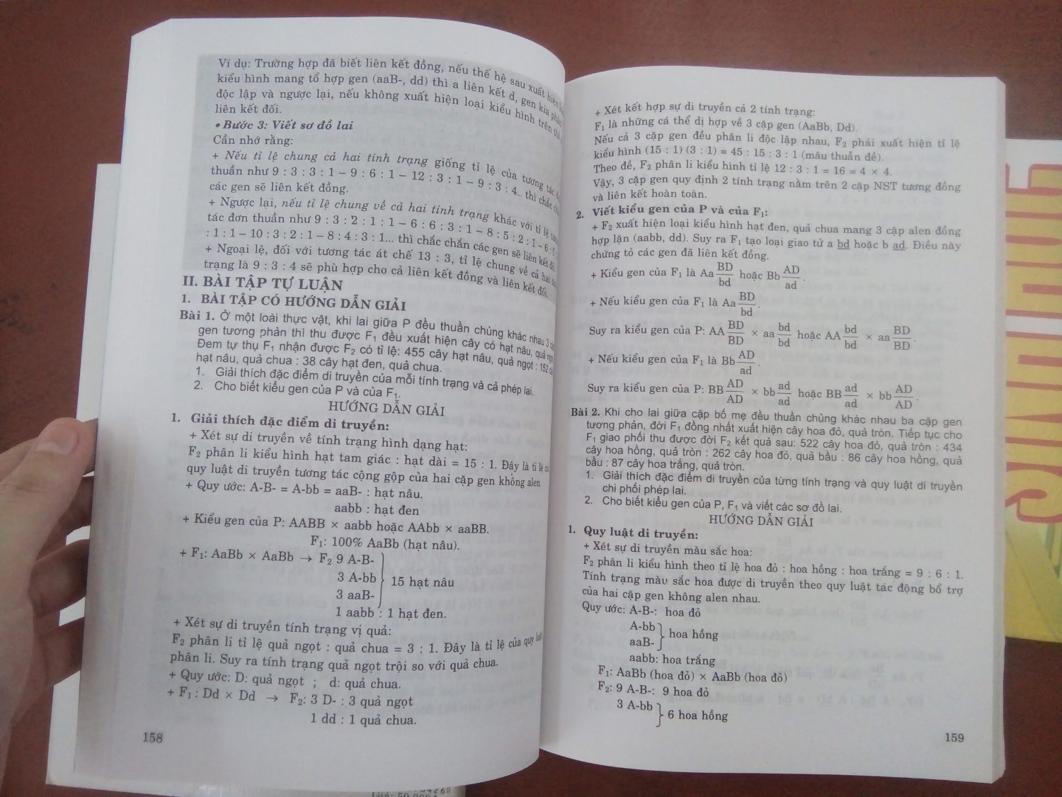 - Phần mép hơi vênh nhưng đè cái gì lên rồi để qua đêm sẽ uốn thẳng lại được.
- Bìa sáng, bóng, đẹp.
- Các trang xếp chưa đều nhau.
- Được cái bên trong nội dung trình bày tốt, kiểu chữ dễ nhìn.