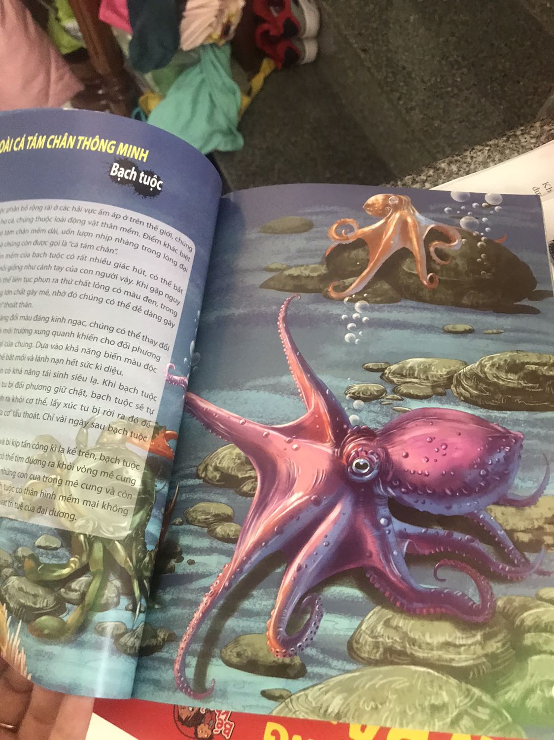 sách in hình rất đẹp, nội dung khá hay, giao hàng tiki thì nhanh đóng gói kỹ