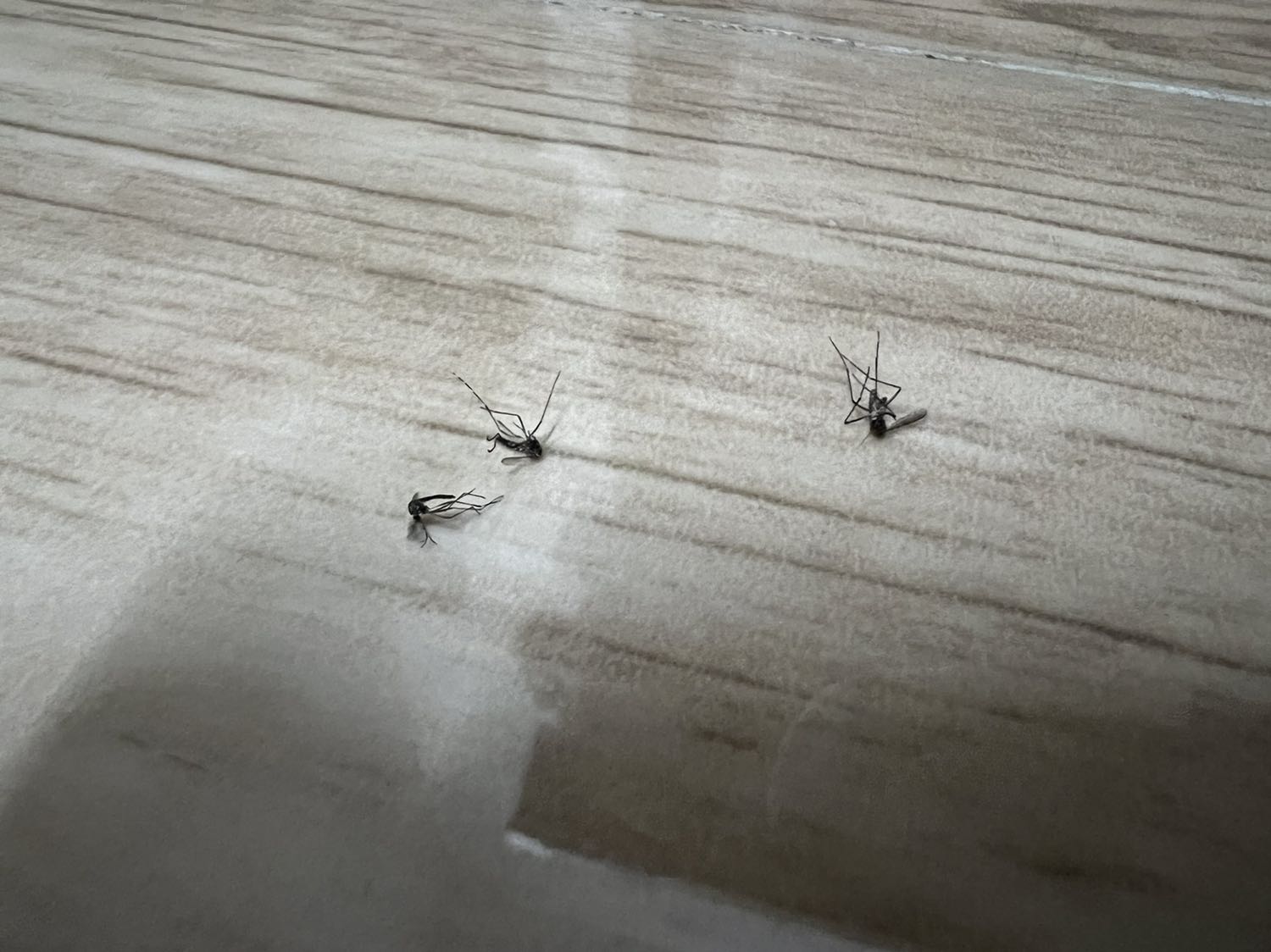 Sản phẩm không có gì để đánh giá thêm, tiếng vợt trúng muỗi nghe nó đã gì đâu á kkk