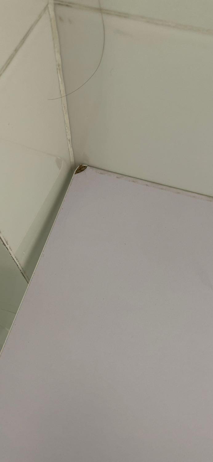 Bàn khá ổn nhưng mà mình không hài lòng lắm, shop đóng gói như gửi đồ nhựa ấy, chỉ bao bằng 1 lớp carton, lúc đc ship đến có cái chân bàn còn lòi ra ngoài luôn. Hậu quả là mấy góc bàn bị móp, trầy trụa hết 😔, mà shop cũng không cho cây bắt vít theo luôn, nói chung là khá thất vọng 😞