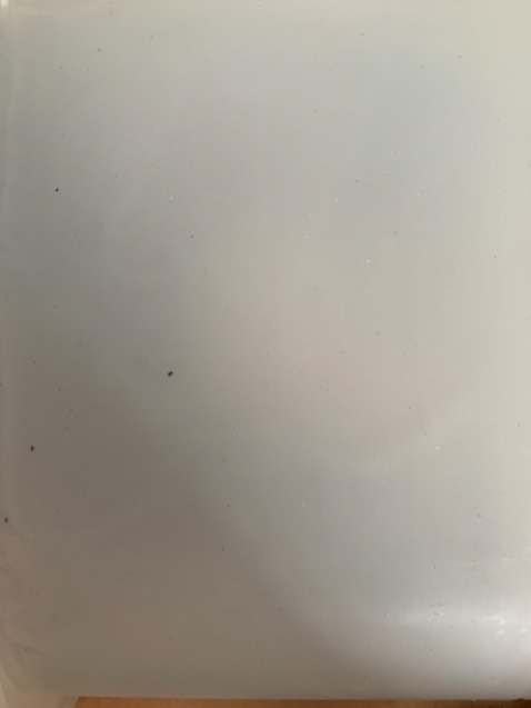 Bình gì có hạt nhựa đen lẫn vô bình vậy shop?