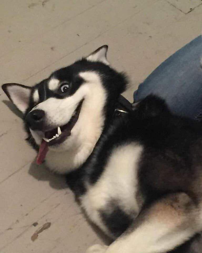 chỉ nói về mặt hình thức sách:
- lưng sách cắt ẩu
- giấy nhăn, in mất chữ.
về phần giao nhận và bookcare của tiki thì rất hài lòng?

P/s: hy vọng được support đổi hàng. ?