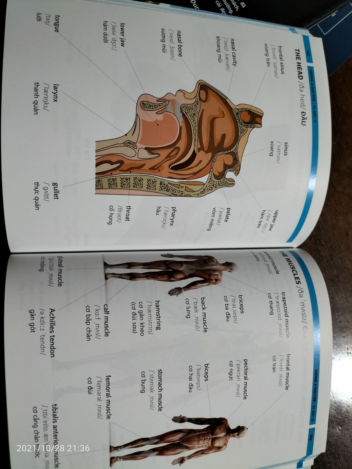 mình mua dịp tiki sale 65%. sách còn mới toanh, không có màng co, sách in bằng giấy bóng, nhiều cái hay hữu ích. nếu bạn nào mới học anh văn chuyên ngành có thể tham khảo. đối với mình thì nó khá hữu ích. mình cảm thấy rất hài lòng khi mua quyển sách này.