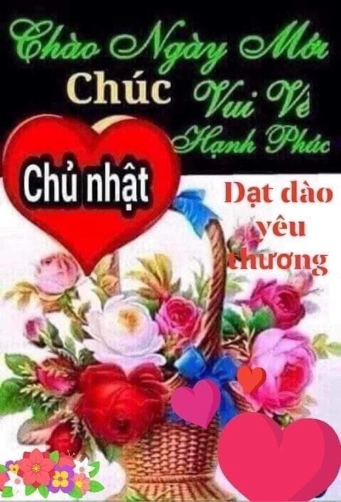 Thích và ủng hô