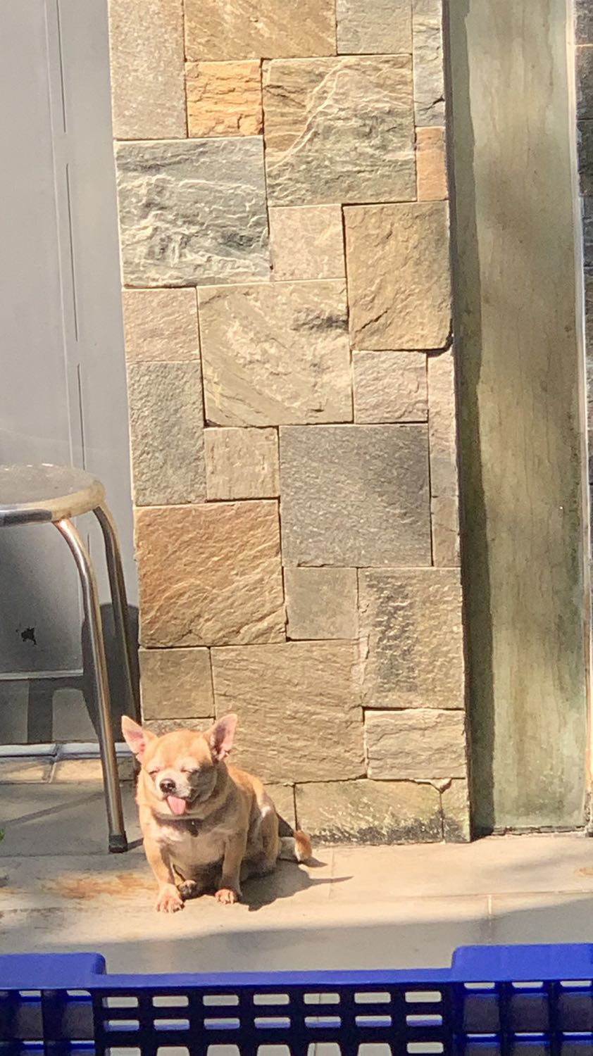 🍺🍻🍺🍻🍺🍻