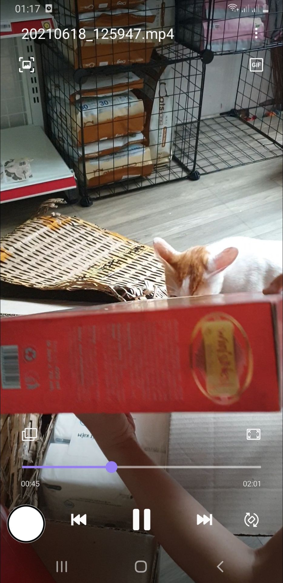 mẫu mã đẹp, nhiều loại lựa chọn